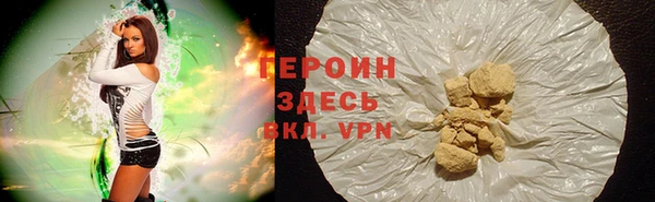 прущие грибы Надым
