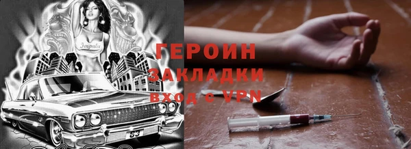 прущие грибы Надым