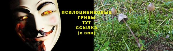винт Арсеньев