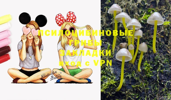 мет Армянск