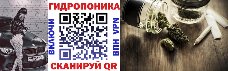 как найти наркотики  Урус-Мартан  Шишки марихуана AK-47 